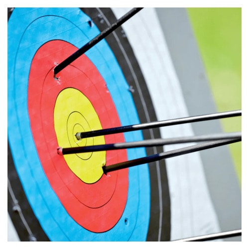 80cm Target Face - Impact